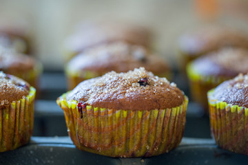 Healthy Paleo Vegan Gluten-free Banana Muffins with Berries and Honey on a Baking Tray, Delicious, Close-up View