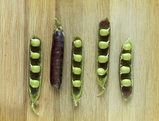 
fresh juicy violet pods and green peas