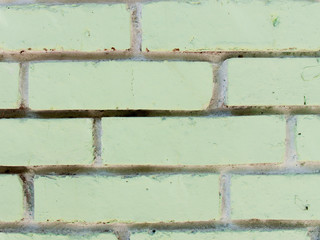 Texture of green bricks as background close up