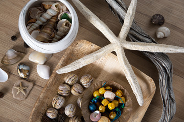 Composition of sea shells.