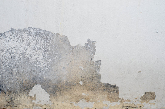 Old Wallpaper - Peeling paint