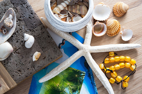 Background of sea shells, starfish and album.
