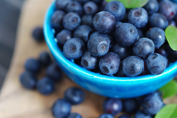 Berries of ripe juicy bilberry in a blue small  plate on a wooden table.