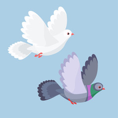 Vector illustration of dove and pigeon flying