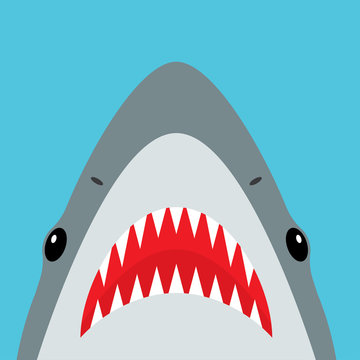 Shark with open mouth and sharp teeth