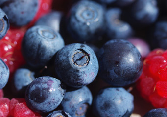 Juicy mature berries of bilberry and raspberry close up. Berry background