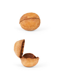 Cookies in the form of nuts, two kinds of indoor and outdoor on