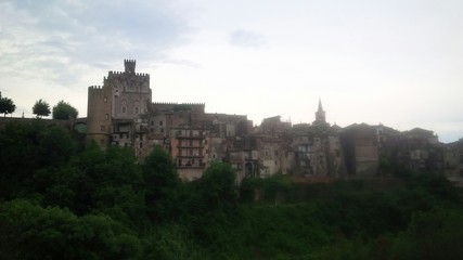 Fototapeta na wymiar panorama con castello