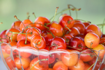 Two kinds of cherries in the glass bowls