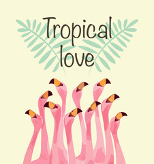 Flamingo illustration for Tropical love