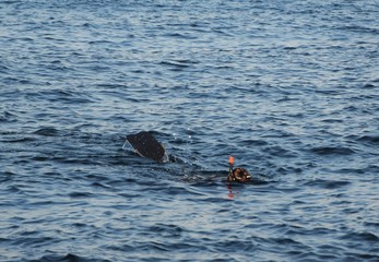 un sub nel mare