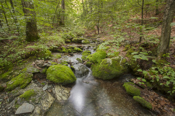 Obraz premium Lulu Brook in the Berkshire Mountains of Western Massachusetts.