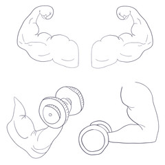 freehand cartoon strong arm flexing bicep sport