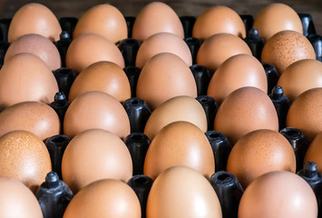 Eggs from chicken farm in the package