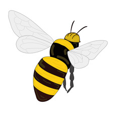 drawing bee which flies work. vector illustration