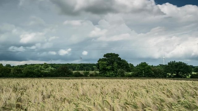 Wheat Field with Wind Turbines and clouds Time Lapse