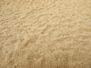wet sand