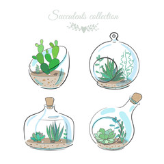 four decorative compositions with succulents - 115526575
