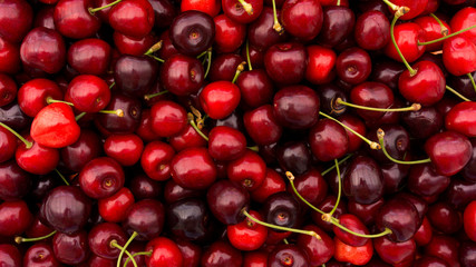 red cherry background.  Red ripe delicious cherries
