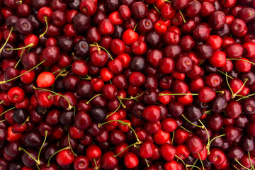 red cherry background.  Red ripe delicious cherries