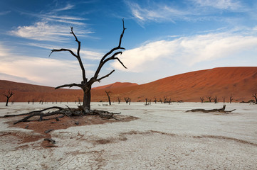 Dead trees and red dunes in Sossusvlei, Namibia