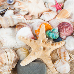 Fototapeta na wymiar Summer background. Sea shells with sand as background