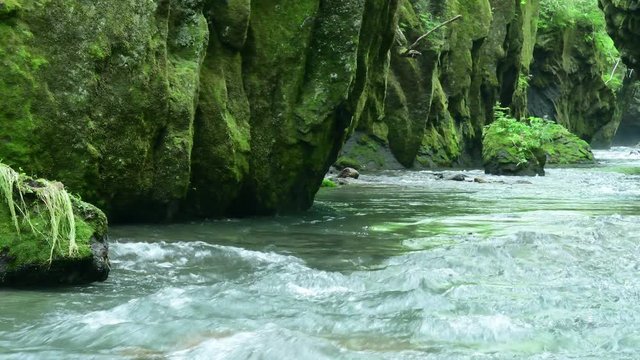 北海道 苫小牧市 樽前ガローの清流 / Tarumaegaro Hokkaido Tomakomai Japan 4K