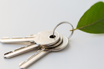 close up of house keys and green leaf