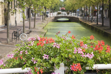 Flowers on Canal Bridge, Delft