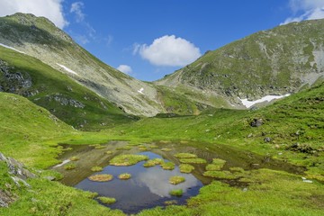 Naklejka na ściany i meble Idyllic summer landscape with mountain lake with floating green grass islands.