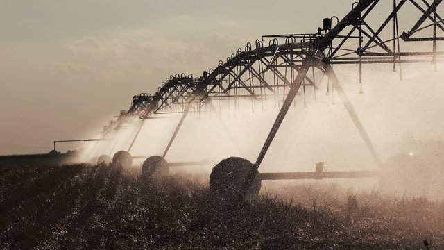 Agricultural irrigation on harvested wheat stubble field in late summer afternoon