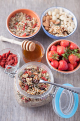 Grain free oat free paleo muesli, raw food: mixed nuts, seeds, goji berries, chia, honey and strawberries, selective focus