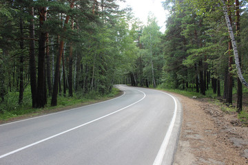Fototapeta na wymiar Winding road with a marking in the forest