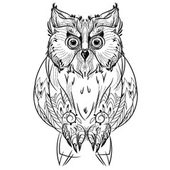 Bird owl head triangular icon