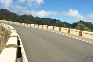 road to anaga national park.tenerife