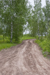 Dirt road in the wood