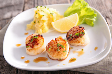 seared scallop