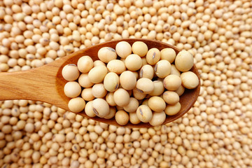 Soy beans with a wooden spoon
