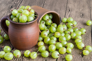  Freshly picked gooseberries.    Freshly picked gooseberries in clay mugs on a wooden table.
