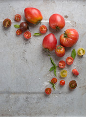 Various fresh tomatoes