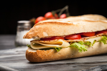 Panini grilled sandwich