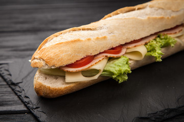 Panini grilled sandwich