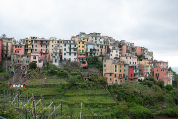 Fototapeta premium Coastline of Cinque Terre National Park in Liguria Italy