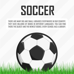 Obraz premium Soccer ball on the grass