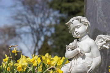 Fototapeta premium Engel