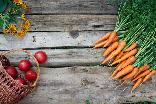 Fresh carrots bunch and tomatoes on rustic wooden background