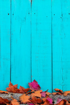 Blank teal blue sign with autumn border