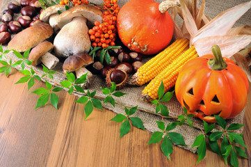 Autumn fruits like pumpkin, mushroom and chestnuts