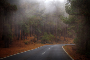 road in the clouds in the mountains