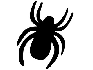 Big black silhouette spider icon isolated on white background